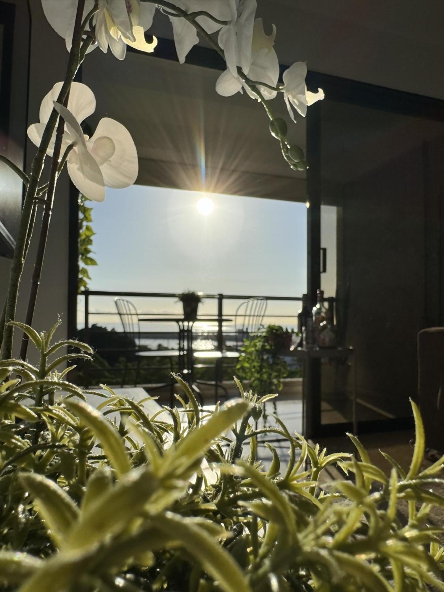 Sovhispan Sc Tenerife Piscina Σάντα Κρουζ Τενερίφης Εξωτερικό φωτογραφία